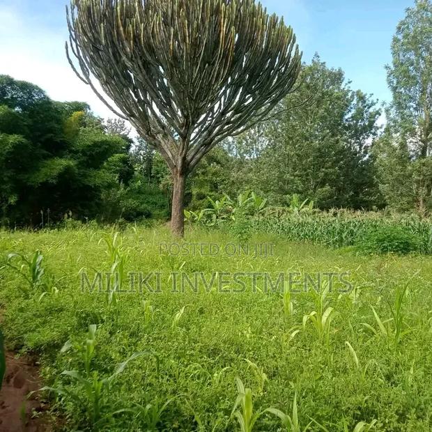 1 Acre on Sale Murang'a -Gatanga - thumbnail 2