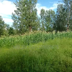 1 Acre on Sale Murang'a -Gatanga