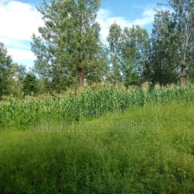 1 Acre on Sale Murang'a -Gatanga - thumbnail 3