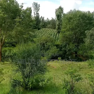 1 Acre on Sale Murang'a -Gatanga