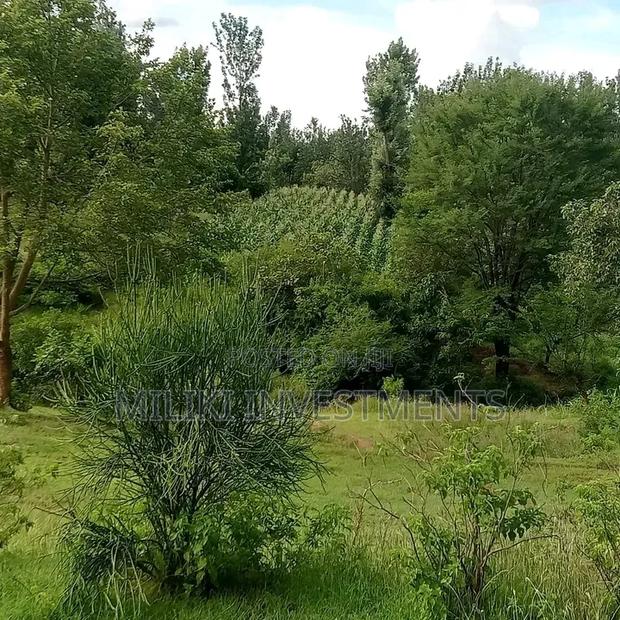 1 Acre on Sale Murang'a -Gatanga - thumbnail 5