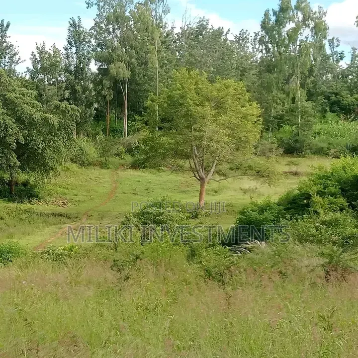 1 Acre on Sale Murang'a -Gatanga