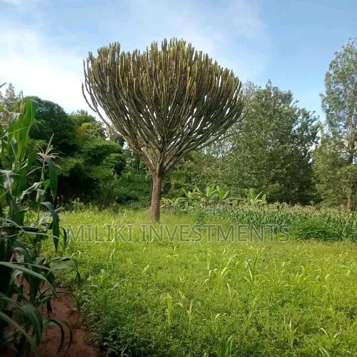 1 Acre on Sale Murang'a -Gatanga