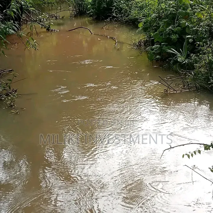 1 Acre on Sale Murang'a -Gatanga