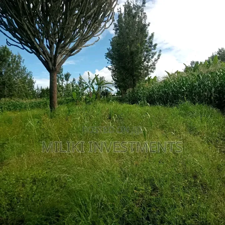 1 Acre on Sale Murang'a -Gatanga