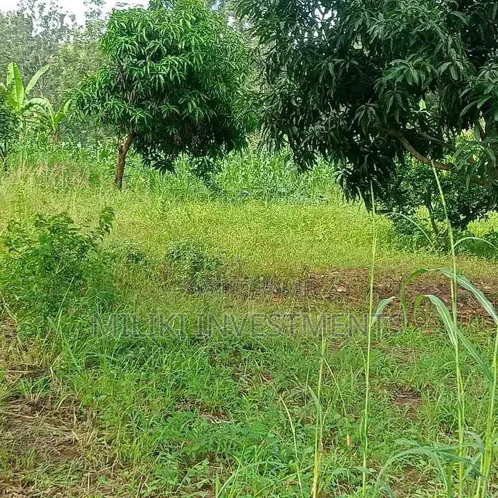 1 Acre on Sale Murang'a -Gatanga