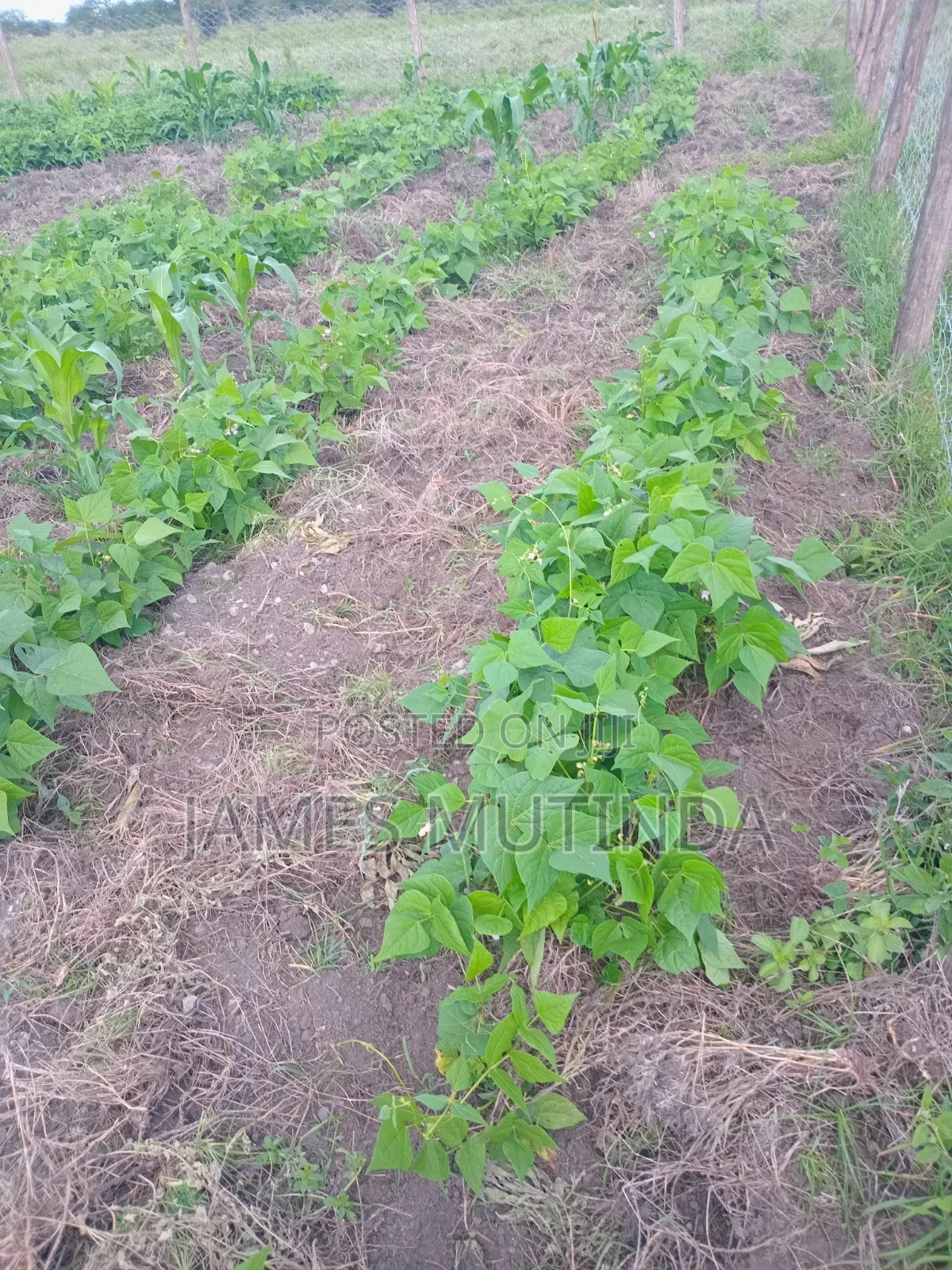 Plot for Sale