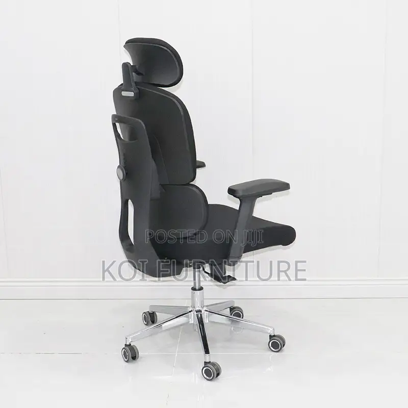 Office Chair : B210 Bionic Ergonomic High Back Chair