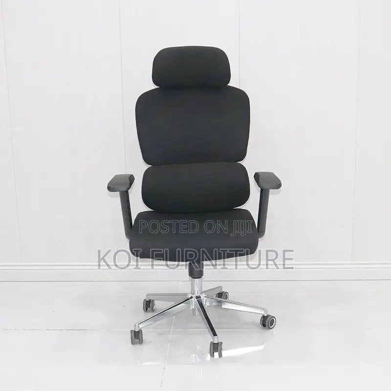Office Chair : B210 Bionic Ergonomic High Back Chair