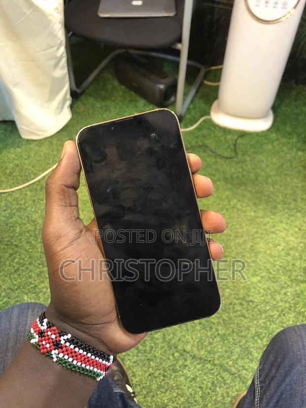Apple iPhone 13 Pro Max 256 GB Gold - thumbnail 2