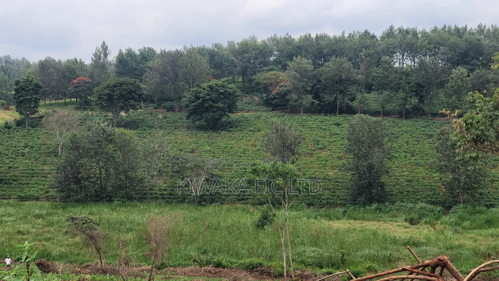 424 Acres for Sale Off Thika-Gatanga Road