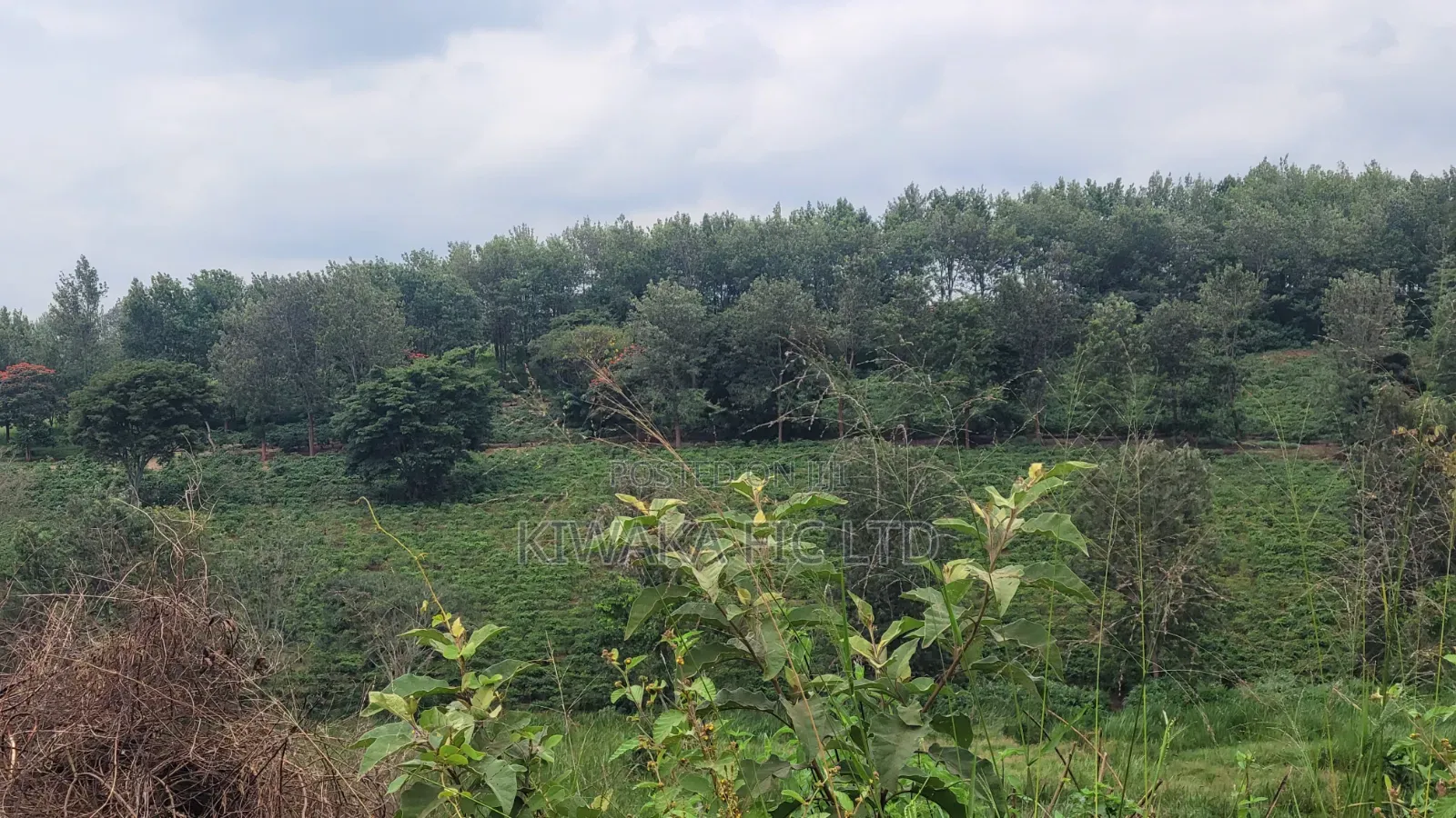 424 Acres for Sale Off Thika-Gatanga Road