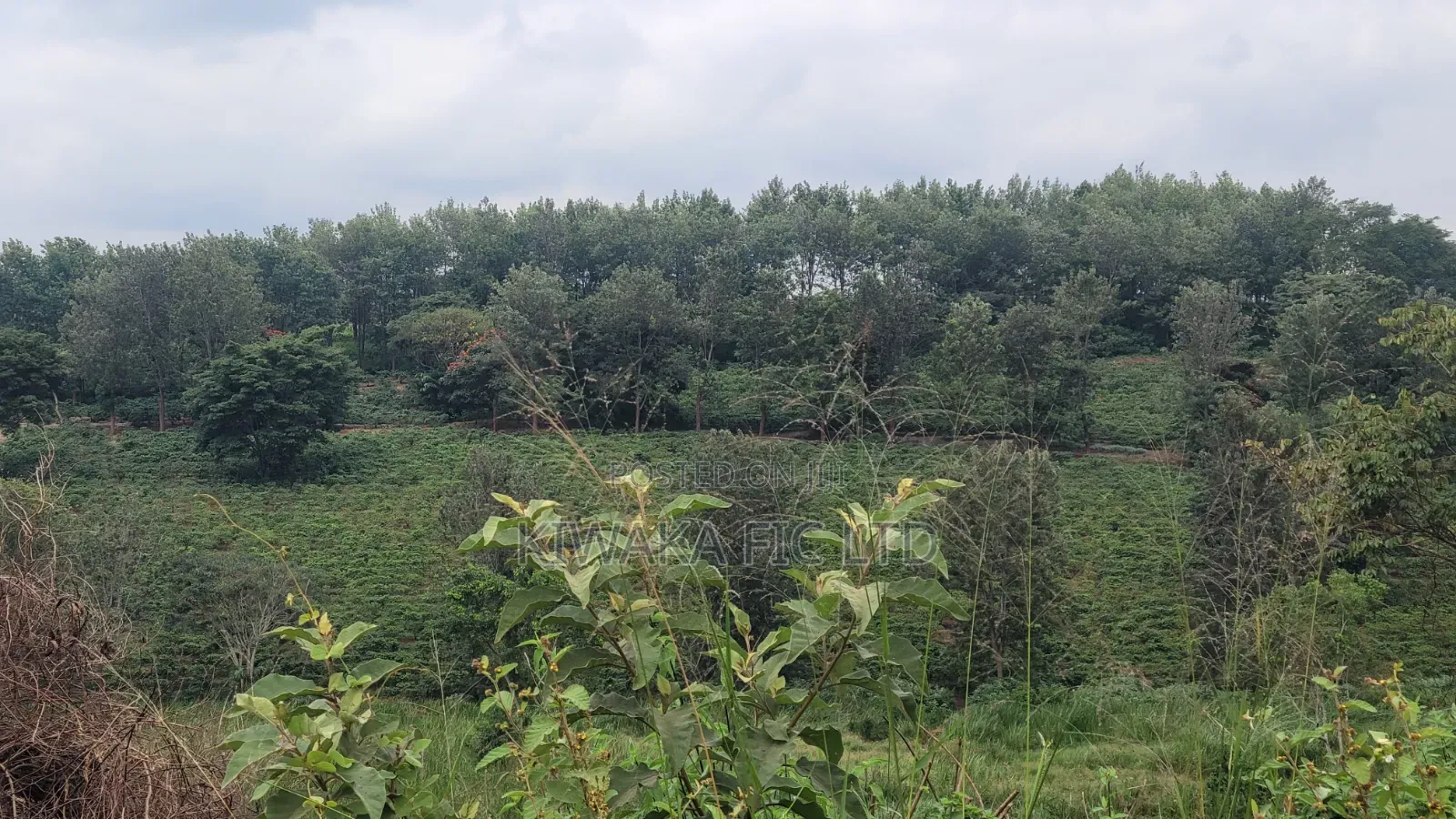424 Acres for Sale Off Thika-Gatanga Road