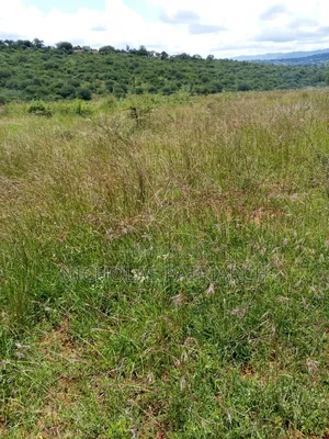 14 Acres Machakos Mua Hills Selling at 6m Per Acre