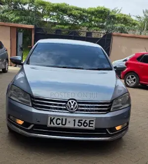 Volkswagen Passat 2013 Blue