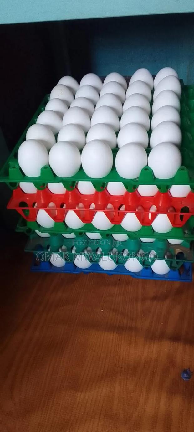 Eggs Wholesale - main view