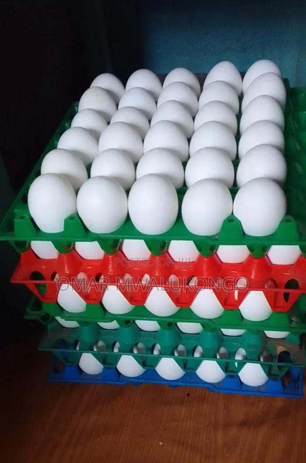 Eggs Wholesale - thumbnail 2