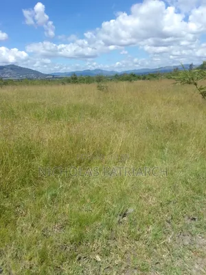 40 Acres Lukenya Daystar Junction Per Acre