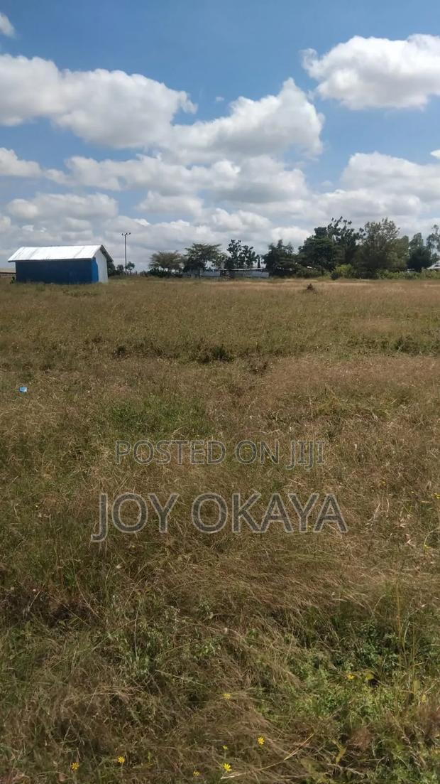 Land Plots