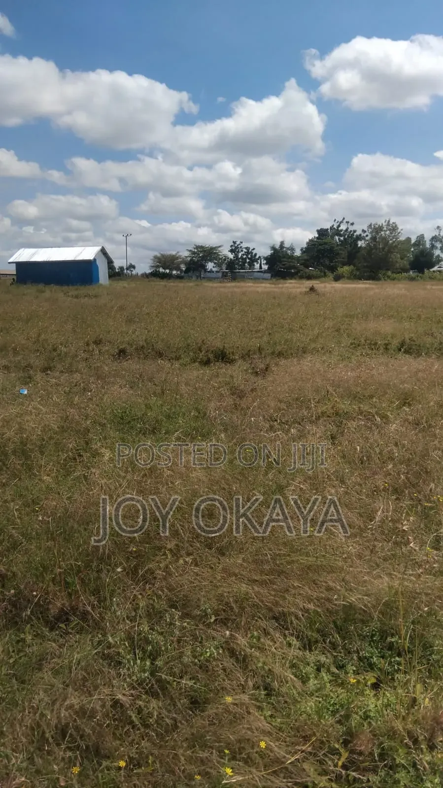 Land Plots