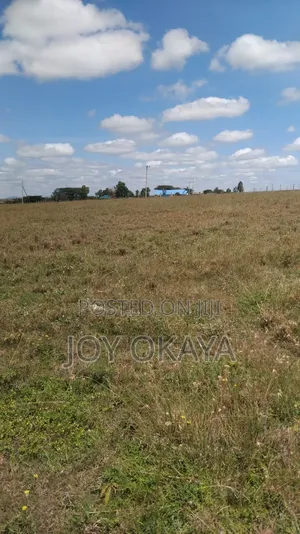 Land Plots
