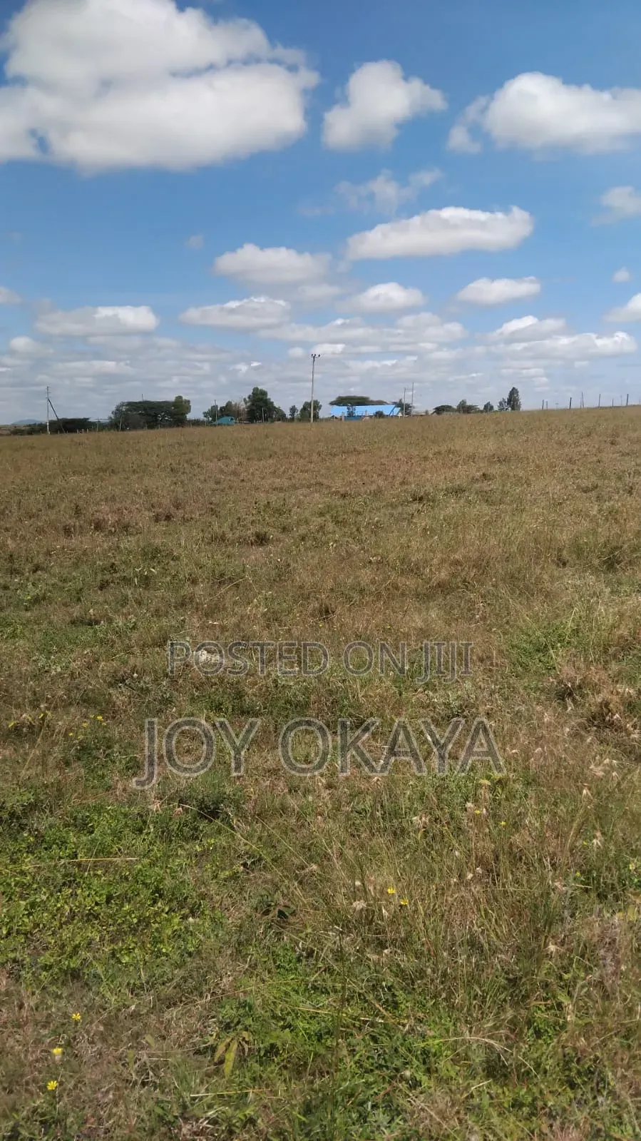 Land Plots