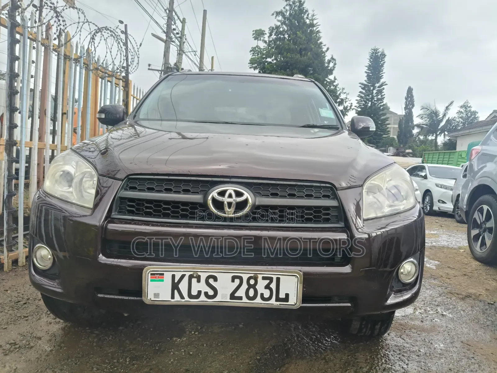 Toyota RAV4 2011 Purple