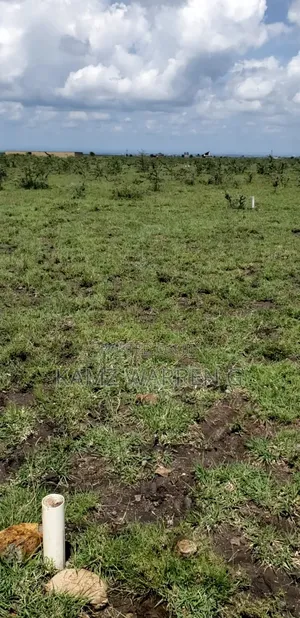 50*100 Plot for Sale in Ruiru East Mwalimu Farm
