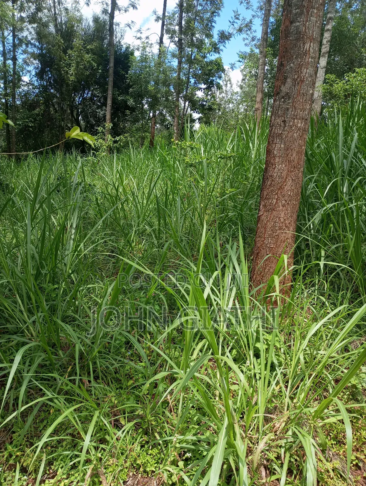 One Acre and an Eigth on Sale Along Bob Harris Ndarugo Road