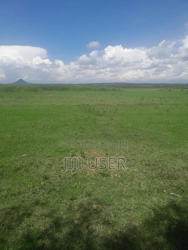 Prime Land in Nyagidha Area Homa Bay - thumbnail 2