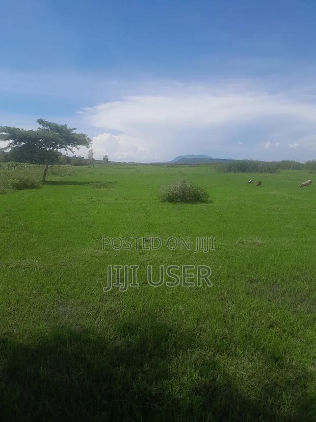 Prime Land in Nyagidha Area Homa Bay - thumbnail 4