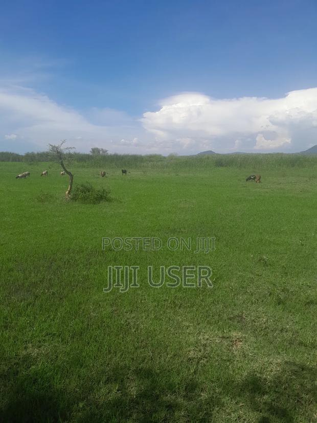Prime Land in Nyagidha Area Homa Bay - thumbnail 5