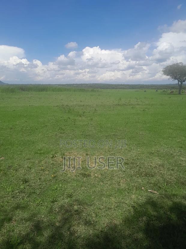 Prime Land in Nyagidha Area Homa Bay - thumbnail 6