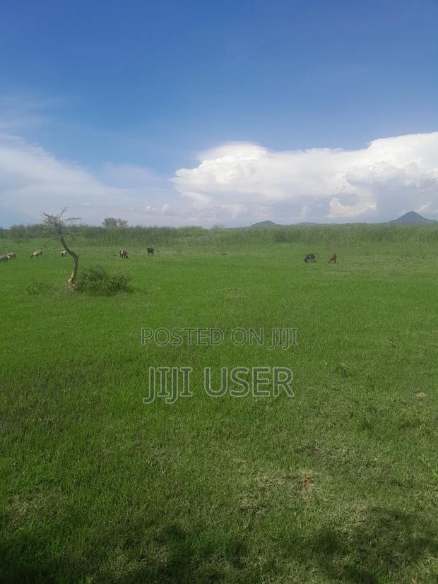 Prime Land in Nyagidha Area Homa Bay - thumbnail 7