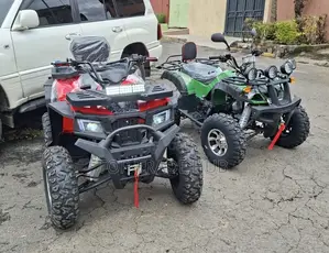Savannah All Terrain Vehicle(Atv) Quad Bike 250cc