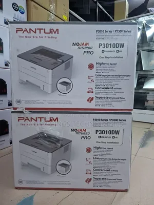 Pantum P3300dw Mono Laser Single Function Printer