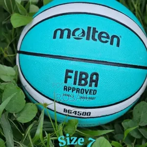 Molten Bg4500 Basketball