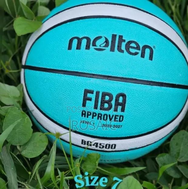 Molten Bg4500 Basketball