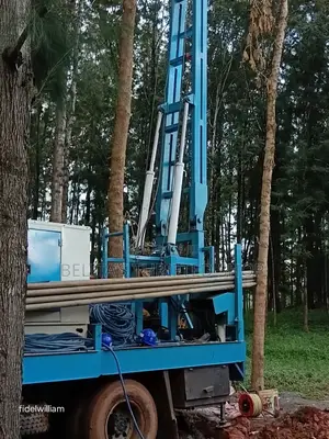 Borehole Drilling