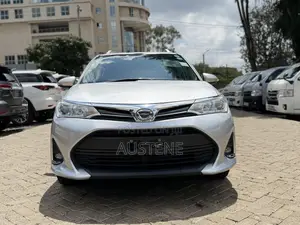 Toyota Corolla Fielder 2020 Silver