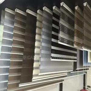 Blinds for Elegant Light Control and Privacy