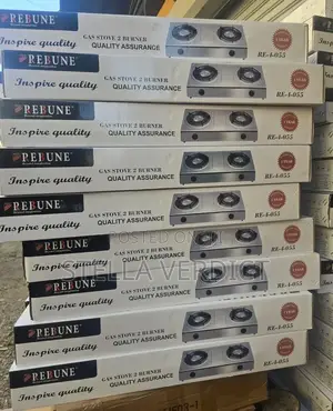 Rebune Double Burner Gas Stove Cooker