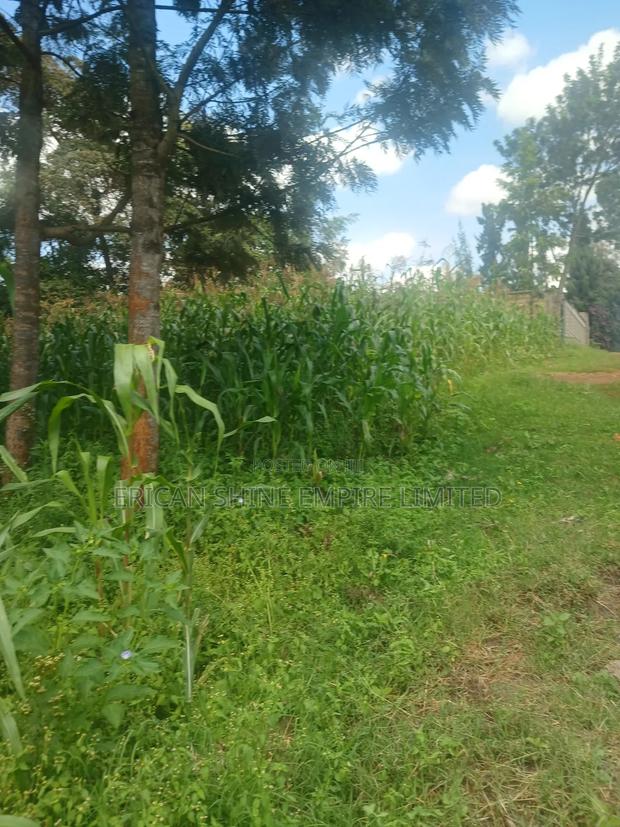 100 by 100 Plot for Lease in Ndwaru Road - thumbnail 2