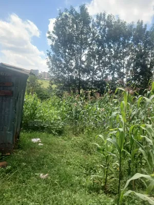 100 by 100 Plot for Lease in Ndwaru Road
