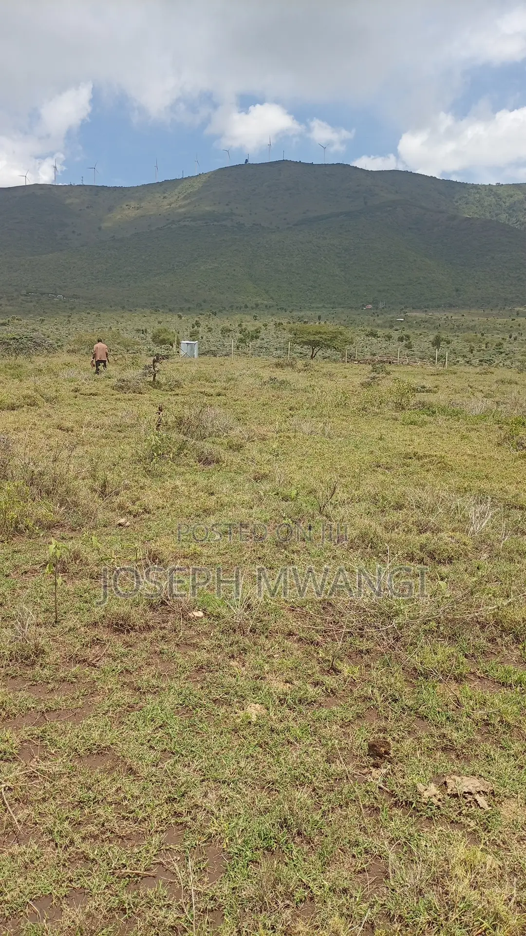 50*100 Plot in Kimuka