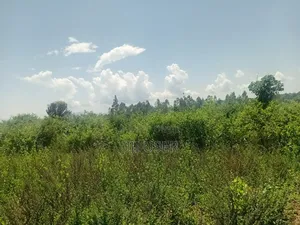 Two Acres in Wiga Area Homa Bay