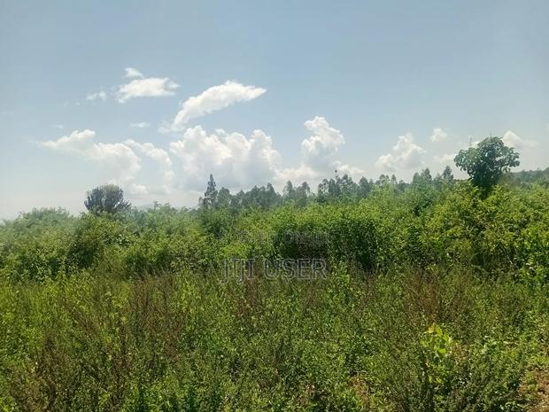 Two Acres in Wiga Area Homa Bay