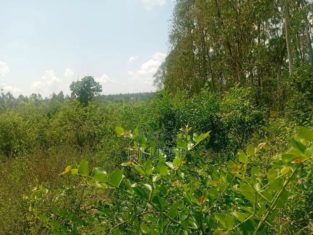 Two Acres in Wiga Area Homa Bay - thumbnail 2