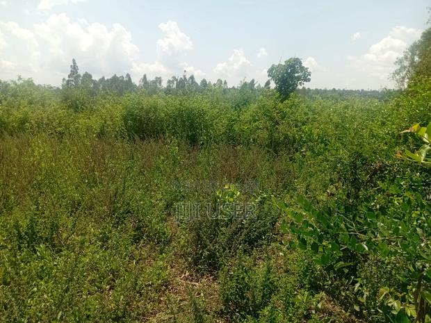 Two Acres in Wiga Area Homa Bay - thumbnail 3