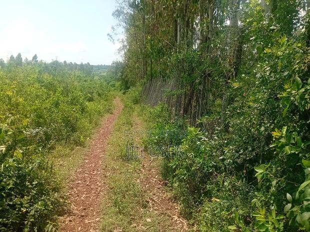 Two Acres in Wiga Area Homa Bay - thumbnail 4